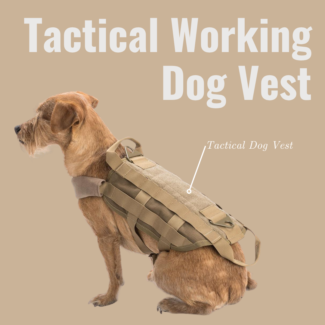 Tactical Working Dog Vest | K9 Tactical | Pet Harnesses | Large Size
High strength ballistic nylon construction
Designed for your four legged companion
MOLLE attachment points for additional gear pouches and accessories
Material: Ballistic nylon
Sizing - Length of harness: 20"
 Not rated for functional restraint usage.