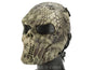 Avengers Full Face Mesh Airsoft | Paintballs Mask